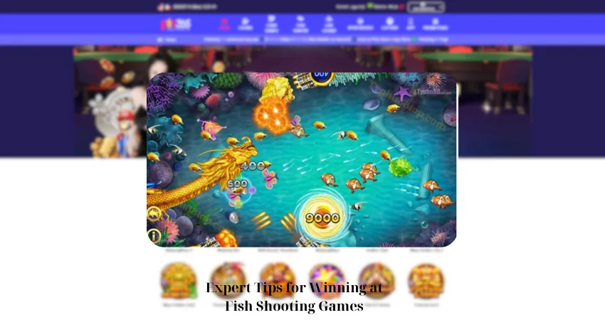 Expert Tips for Winning at Fish Shooting Games