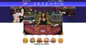 How to Play Dragon Tiger Online at PH365